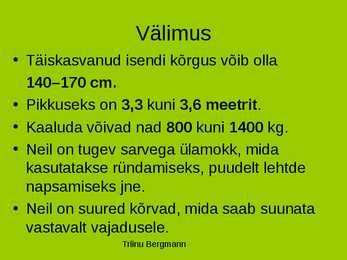 Must-ninasarvik e-teravmokk-ninasarvik #4