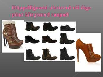 Kingad-kotid 2010 2011 #2