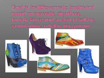 Kingad-kotid 2010 2011 #13