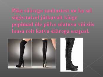 Kingad-kotid 2010 2011 #3