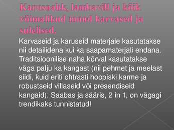 Kingad-kotid 2010 2011 #4
