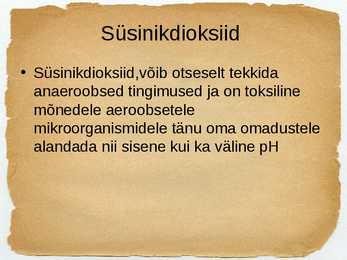 Toidu fermentatsioon-Mikroorganismide roll #13