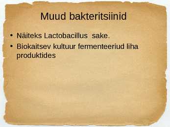 Toidu fermentatsioon-Mikroorganismide roll #20