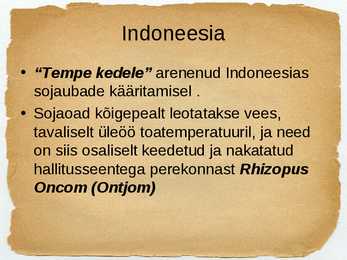 Toidu fermentatsioon-Mikroorganismide roll #28