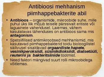 Toidu fermentatsioon-Mikroorganismide roll #10