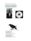 Punk #6