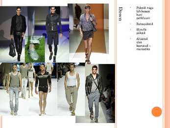 Meeste mood 2011 #5