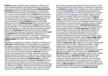 Geograafia - muld