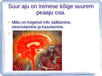 Närvisüsteemi ehitus ja talitlus #7
