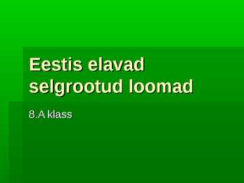 Selgrootud loomad