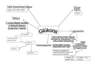 Bioloogia glükoosi mõsitekaart