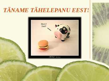 Taimetoitlus #13