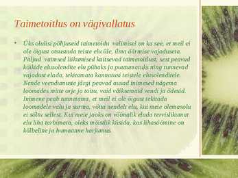 Taimetoitlus #7