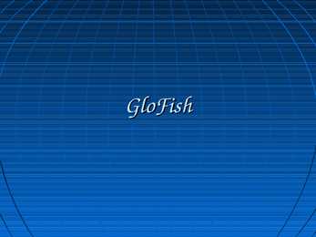Glofsh
