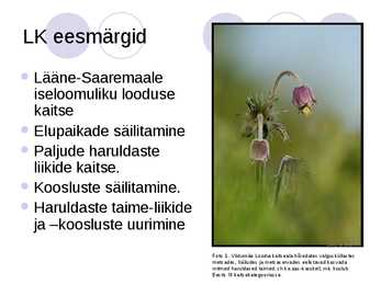 Viidumäe looduskaitseala #4