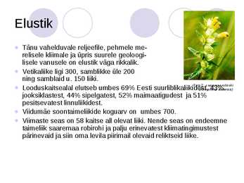 Viidumäe looduskaitseala #5