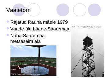 Viidumäe looduskaitseala #9