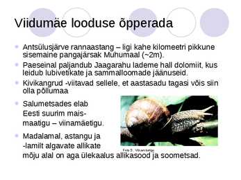 Viidumäe looduskaitseala #10