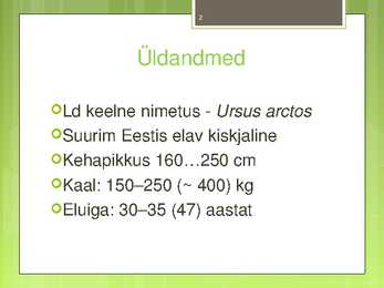 Pruunkaru #2