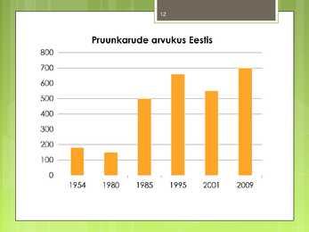 Pruunkaru #12