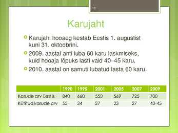 Pruunkaru #13