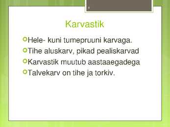 Pruunkaru #4