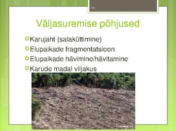 Pruunkaru #10