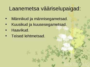 Laanemetsad #13