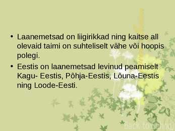 Laanemetsad #14