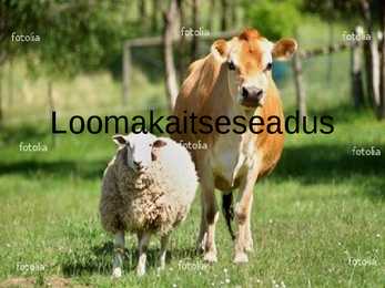 Loomakaitseseadus