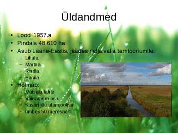 Matsalu rahvuspark #2
