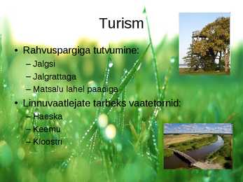 Matsalu rahvuspark #12