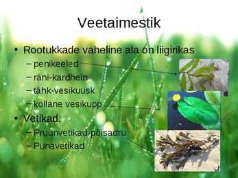Matsalu rahvuspark #10