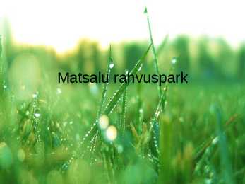 Matsalu rahvuspark