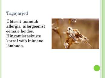 Allergia #6