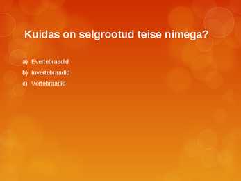 Kuldvillaku mäng #12