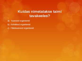 Kuldvillaku mäng #13