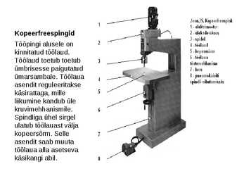 Freespingid #15