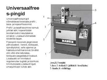 Freespingid #3