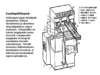 Freespingid #26
