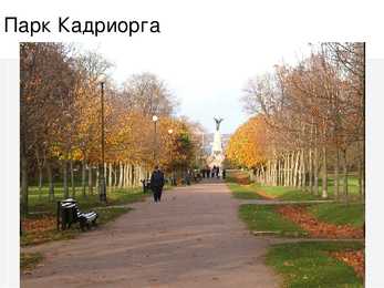 Tallinn #11