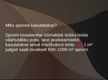 Spoonid ja höövelvineerid #3