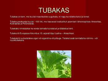 Tubakatooted #6
