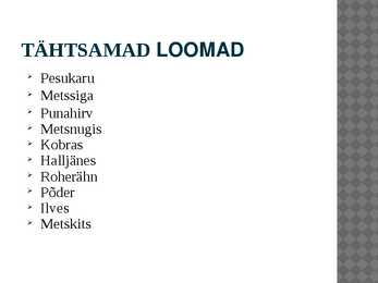 Segametsad #9