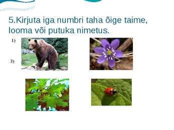 Viktoriin #6