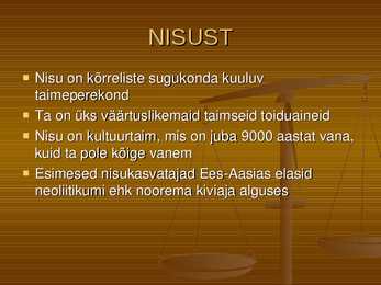 Teravili NISU #2