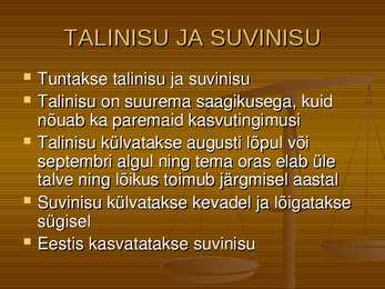 Teravili NISU #4