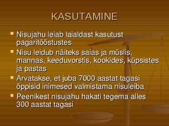 Teravili NISU #6