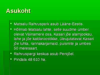 Matsalu rahvuspark #4
