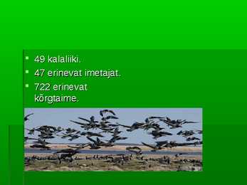 Matsalu rahvuspark #7